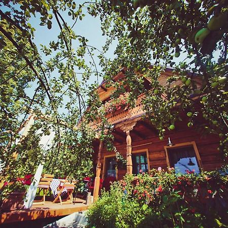 Вилла Mietowy Aniol Устшики-Дольне Экстерьер фото