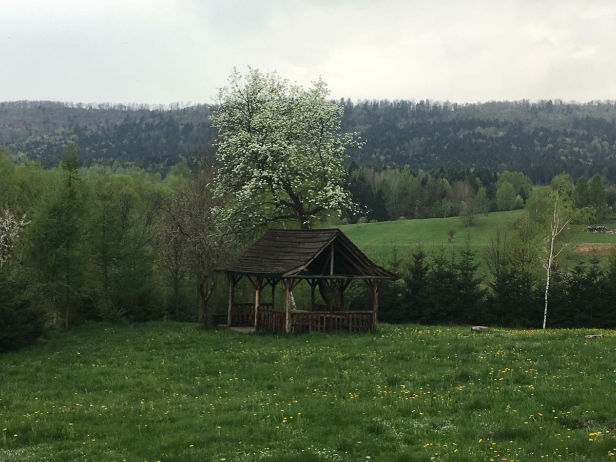 Вилла Mietowy Aniol Устшики-Дольне Экстерьер фото