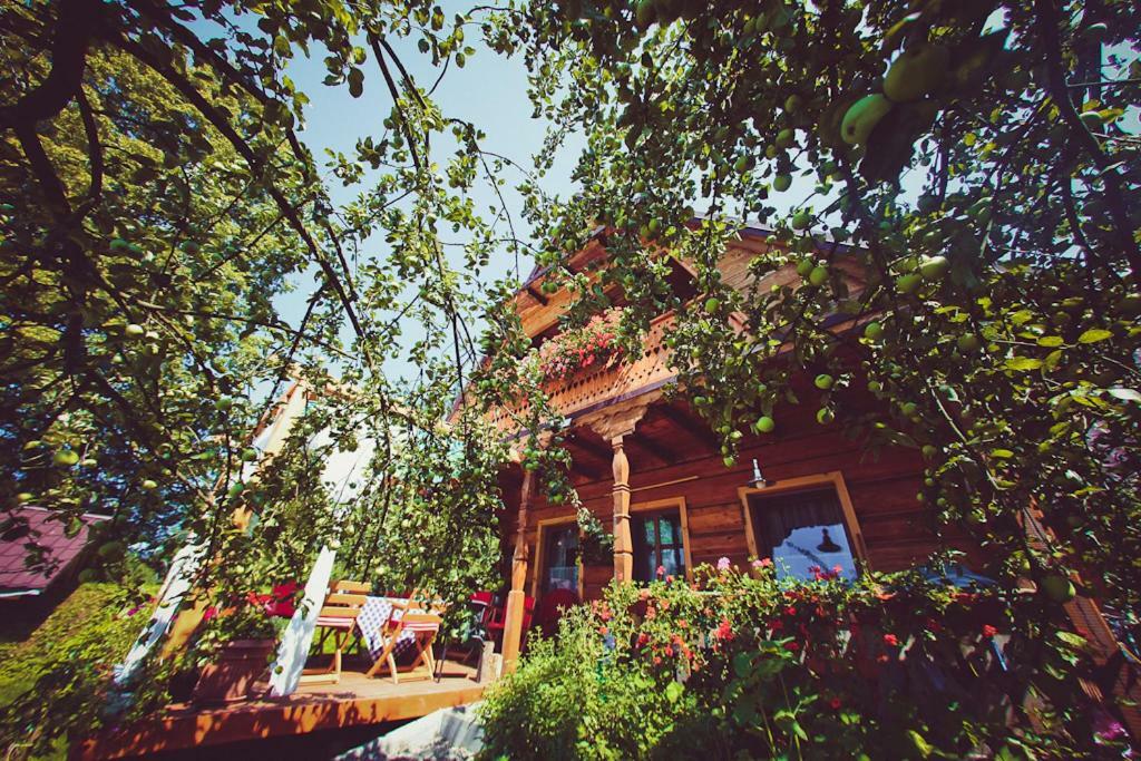 Вилла Mietowy Aniol Устшики-Дольне Экстерьер фото